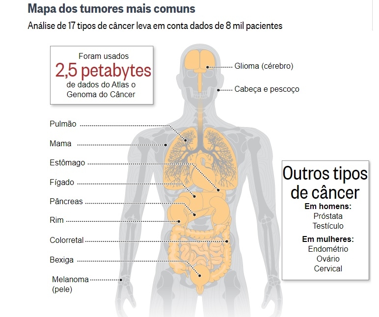 Novo Atlas revolucionará diagnóstico e tratamento do câncer